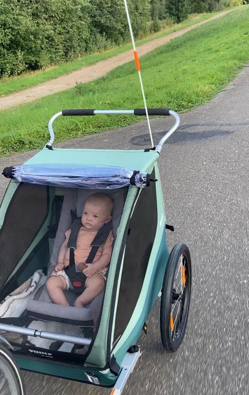 Thule Coaster 2 XT, Fietsen en Brommers, Fietsaccessoires | Aanhangwagens en Karren, Zo goed als nieuw, Ophalen