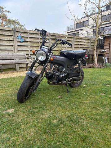 Skyteam Dax 50cc Bullet, 4 vitesses, Classe B (45 km/h), Enlèvement, Utilisé