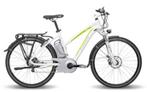 flyer accu stuk gezocht, Fietsen en Brommers, Elektrische fietsen, Ophalen