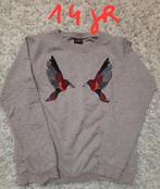 Trui 14 jaar, Enlèvement, Comme neuf, Fille, Pull ou Veste