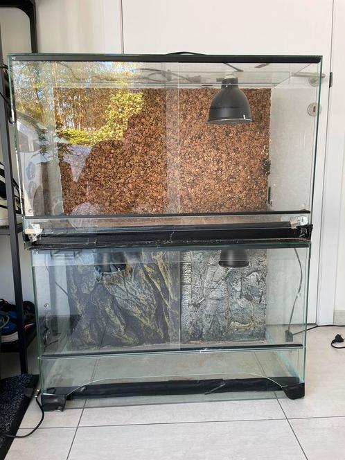 3 terraria, Dieren en Toebehoren, Reptielen en Amfibieën