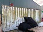 20 ft container wit nog in heel goede staat, Doe-het-zelf en Bouw, Containers, Ophalen