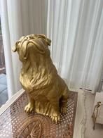 Plastieken decoratie gouden hond, Ophalen, Zo goed als nieuw, Dier