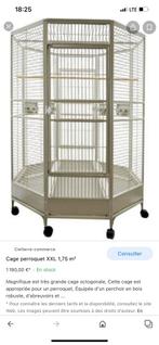 Cage perroquet, Animaux & Accessoires, Oiseaux | Cages & Volières, Comme neuf