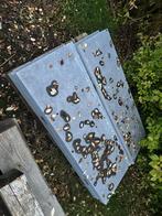 Blauwsteen oprij borduren te koop, Enlèvement, Neuf