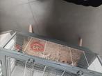 Gratis, Dieren en Toebehoren, Geslacht onbekend, Hamster