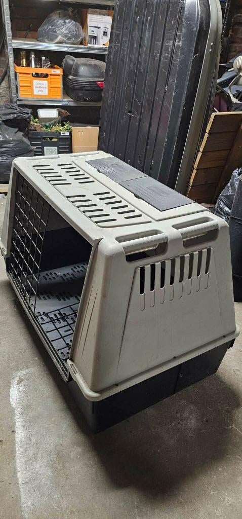 Boite de transport pour grand chien, Dieren en Toebehoren, Transportboxen, Zo goed als nieuw, Ophalen