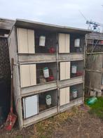 Betonnen konijnenhokken, Enlèvement