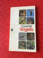 Courante vogels, Boeken, Wetenschap, Ophalen of Verzenden, Gelezen, Natuurwetenschap