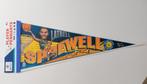 Latrell Sprewell vintage NBA pennant Golden State Warriors, Sports & Fitness, Comme neuf, Enlèvement ou Envoi