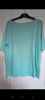 Shirtje 44, Kleding | Dames, T-shirts, Ophalen of Verzenden, Zo goed als nieuw