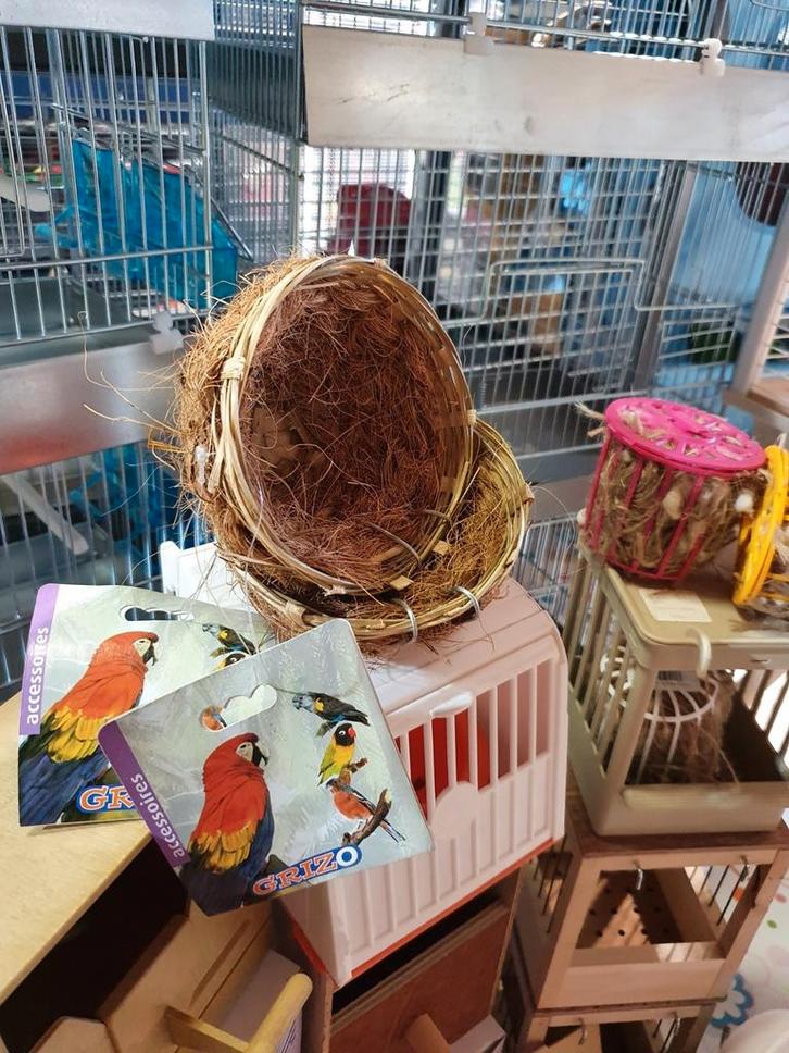 Rieten Nest Cocos Ø17 cm, Dieren en Toebehoren, Vogels | Toebehoren, Nieuw, Ophalen of Verzenden