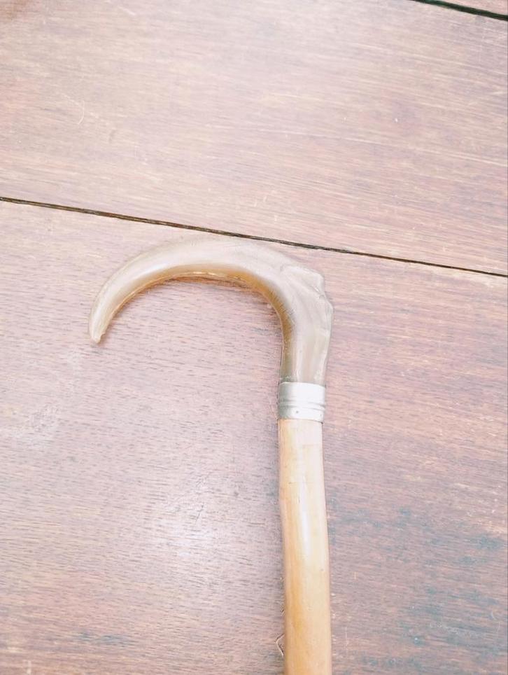 Canne ( pommeau en corne), Divers, Bâtons de marche