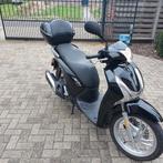 Motoren, 1 cylindre, Scooter, Particulier, 125 cm³