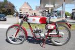 Mondial Record SSV4 1966, 48 cc, Sport, 11 kW of minder, 1 cilinder