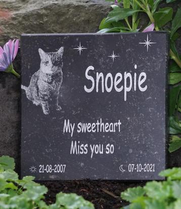 Gedenksteen voor hond of kat met fotogravure, Enlèvement ou Envoi, Neuf