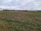 Grond te huur voor particulieren, 1500 m² of meer