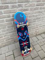 Skateboard Alien, Sports & Fitness, Skateboard, Skateboard, Utilisé, Longboard