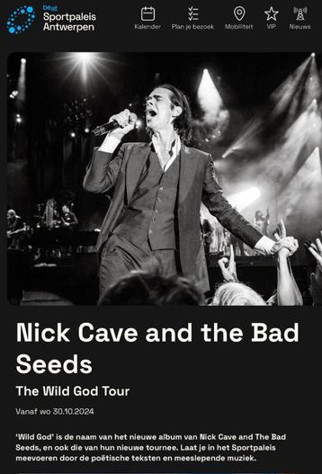 Billet pour le palais des sports Nick Cave 30/10