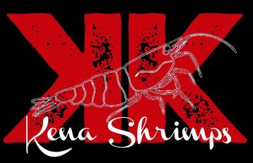 Kena Shrimps house of high end caridina garnalen beschikbaar voor biedingen