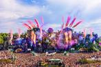 GEZOCHT: Tomorrowland W1 - Magnificent Greens, Tickets en Kaartjes