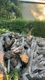 Gent gratis op te halen brandhout, Tuin en Terras, 3 tot 6 m³, Ophalen, Blokken