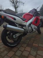 Yamaha YZF 600 Thundercat, Motos, Plus de 35 kW, Échappement sport, Super Sport, Particulier