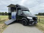 Mercedes-Benz Sprinter 315 AMG 2-paards paardenvrachtwagen B, Dieren en Toebehoren, Gebruikt, Overige typen