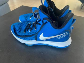 Nike Lebron Witness V beschikbaar voor biedingen
