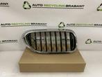 Grill Nier Rechts BMW 5 Serie G30 G31 M-PAKKET 51137390864, Auto-onderdelen, Gebruikt, Ophalen of Verzenden, BMW, BMW