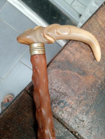 Oude hoornriet/mispel  beschikbaar voor biedingen