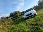 Bmw316 d, Auto's, Euro 5, Achterwielaandrijving, Zwart, Wit