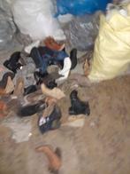 Chaussures, Divers, Enlèvement