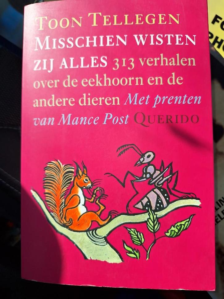 Toon Tellegen - Misschien wisten zij alles, Boeken, Kinderboeken | Jeugd | onder 10 jaar, Zo goed als nieuw, Ophalen of Verzenden