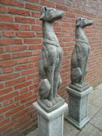 2 grote honden beelden op sokkel windhond greyhound whippet, Tuin en Terras, Tuinbeelden, Ophalen, Nieuw, Beton