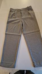3/4 broek Massimo Dutti, Kleding | Dames, Broeken en Pantalons, Massimo Dutti, Zo goed als nieuw, Driekwart, Groen