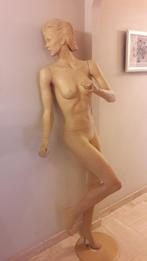 Etalagepop, Kleding | Dames, Kledinghangers, Ophalen, Gebruikt, Kunststof, Volwassenen