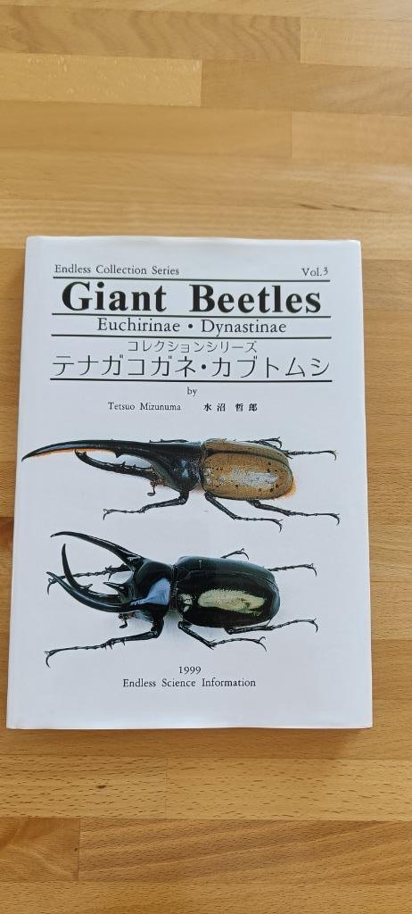 Livre insectes coléoptères Dynastes Japon, Boeken, Dieren en Huisdieren, Zo goed als nieuw, Overige diersoorten, Ophalen of Verzenden