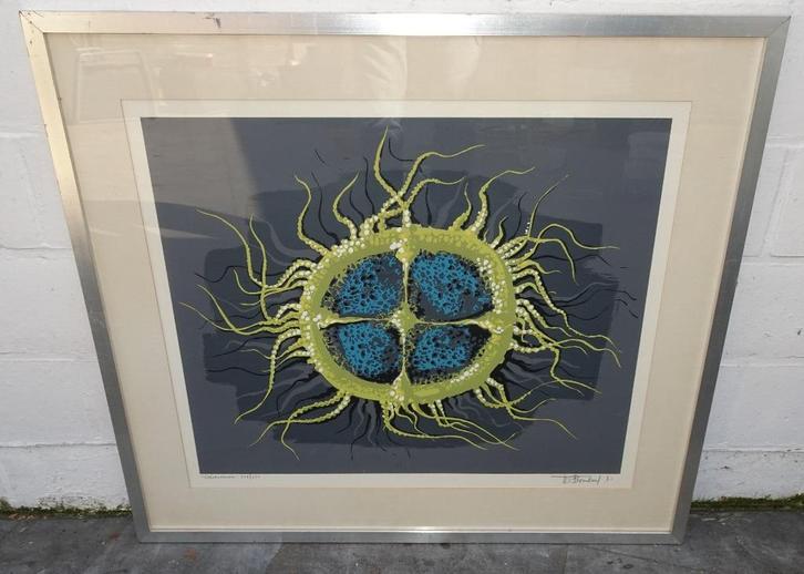 ZEEANEMONE LITHO WILLY BOSSCHEM ABSTRACT VINTAGE MODERN, Antiek en Kunst, Kunst | Litho's en Zeefdrukken, Ophalen