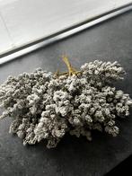 Stekers voor in ketstboom 8 st, Huis en Inrichting, Woonaccessoires | Droogbloemen, Ophalen, Zo goed als nieuw