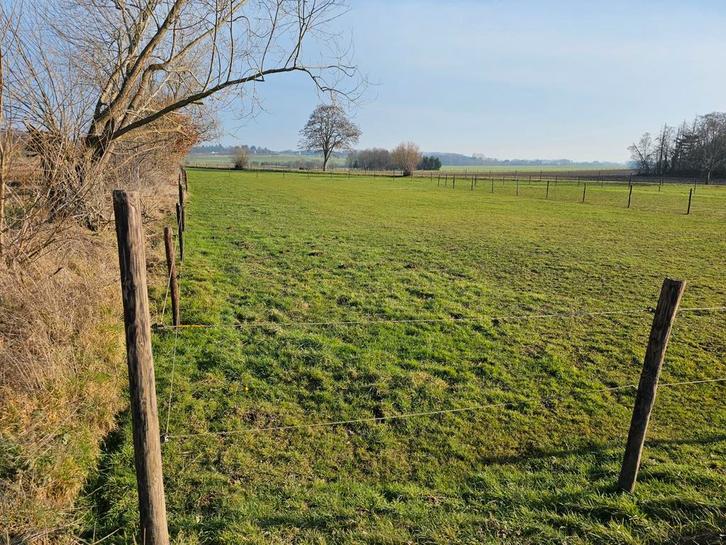 Landbouwgrond, paardenweide, Immo, Terrains & Terrains à bâtir