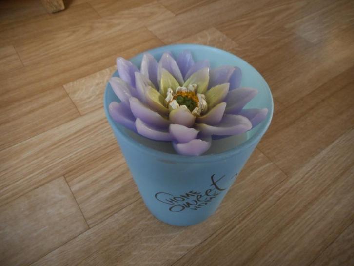 NOUVELLE BOUGIE ORCHIDÉE D'EAU, Maison & Meubles, Accessoires pour la Maison | Bougeoirs & Bougies, Neuf, Bougie, Moins de 25 cm