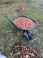 Noix bio 2025 non traitées en Bag de 30kg - Prix au Kg, Dieren en Toebehoren, Dierenvoeding, Ophalen, Vogel