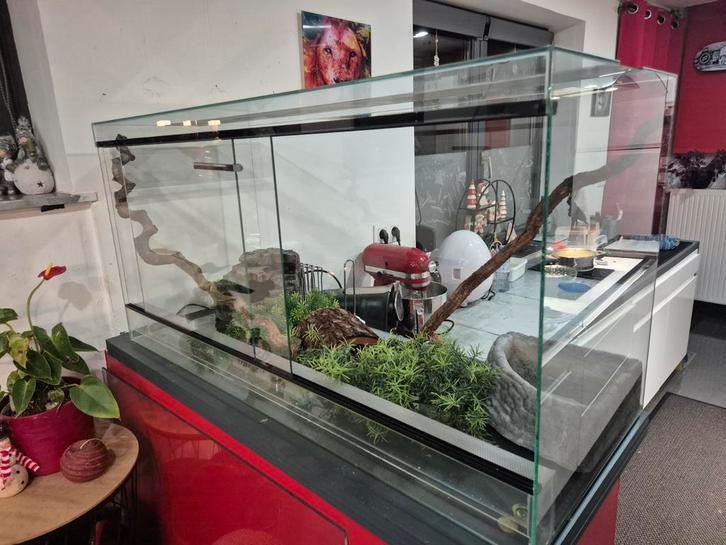 Terrarium, Animaux & Accessoires, Reptiles & Amphibiens | Accessoires, Comme neuf, Terrarium ou Paludarium, Enlèvement