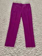 Broek Pinko, Paars, Nieuw, Ophalen of Verzenden, Lang