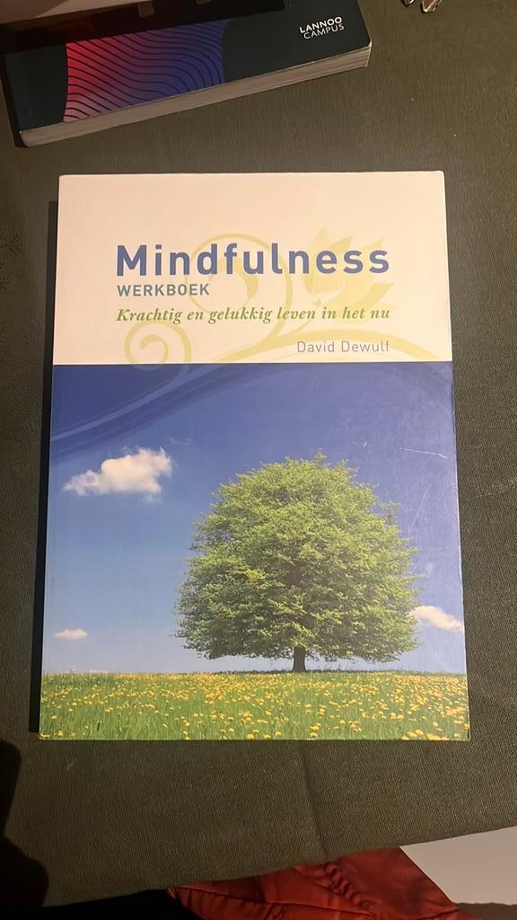 David Dewulf - Werkboek, Livres, Psychologie, Psychologie cognitive, Enlèvement