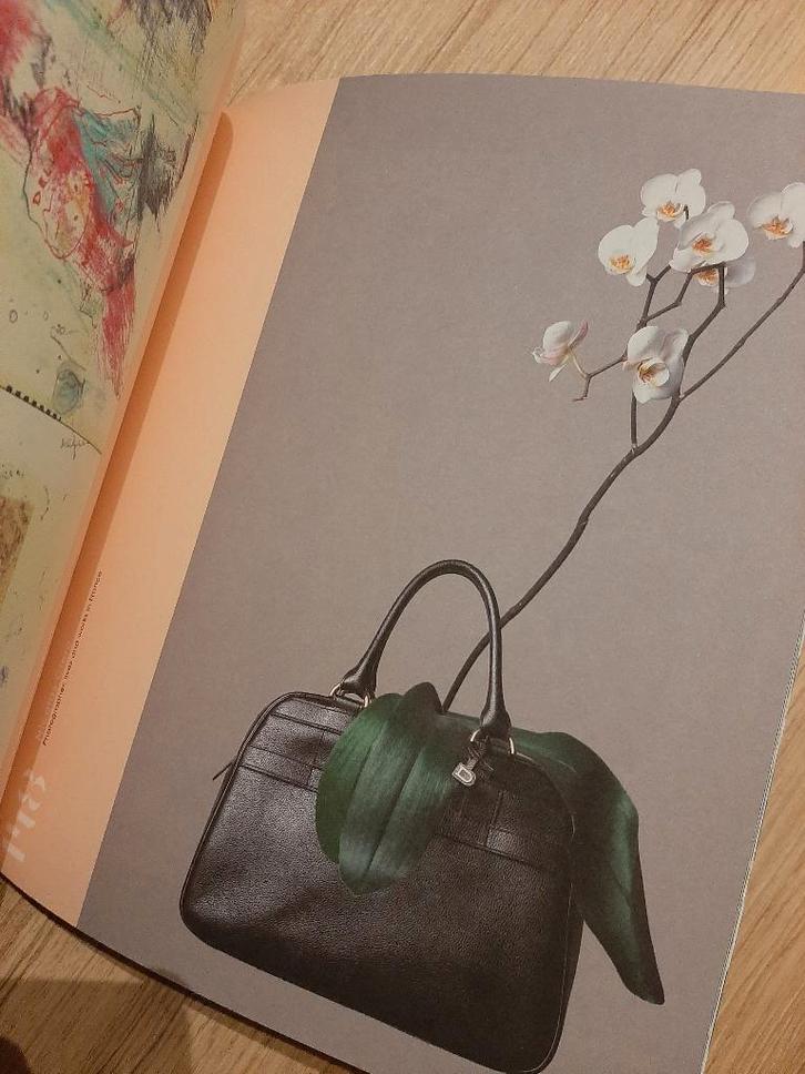 Album / Boek Delvaux 175 jaar, Handtassen en Accessoires, Tassen | Damestassen, Zo goed als nieuw, Verzenden