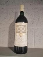 Lot de 5 bouteilles magnum. Livraison possible suivant l end, Collections, Enlèvement ou Envoi, Comme neuf