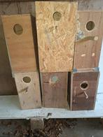 nichoirs, perruches, Enlèvement