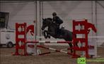 Lieve betrouwbare D-pony, Dieren en Toebehoren, Ruin, M, D pony (1.37m tot 1.48m), 11 jaar of ouder
